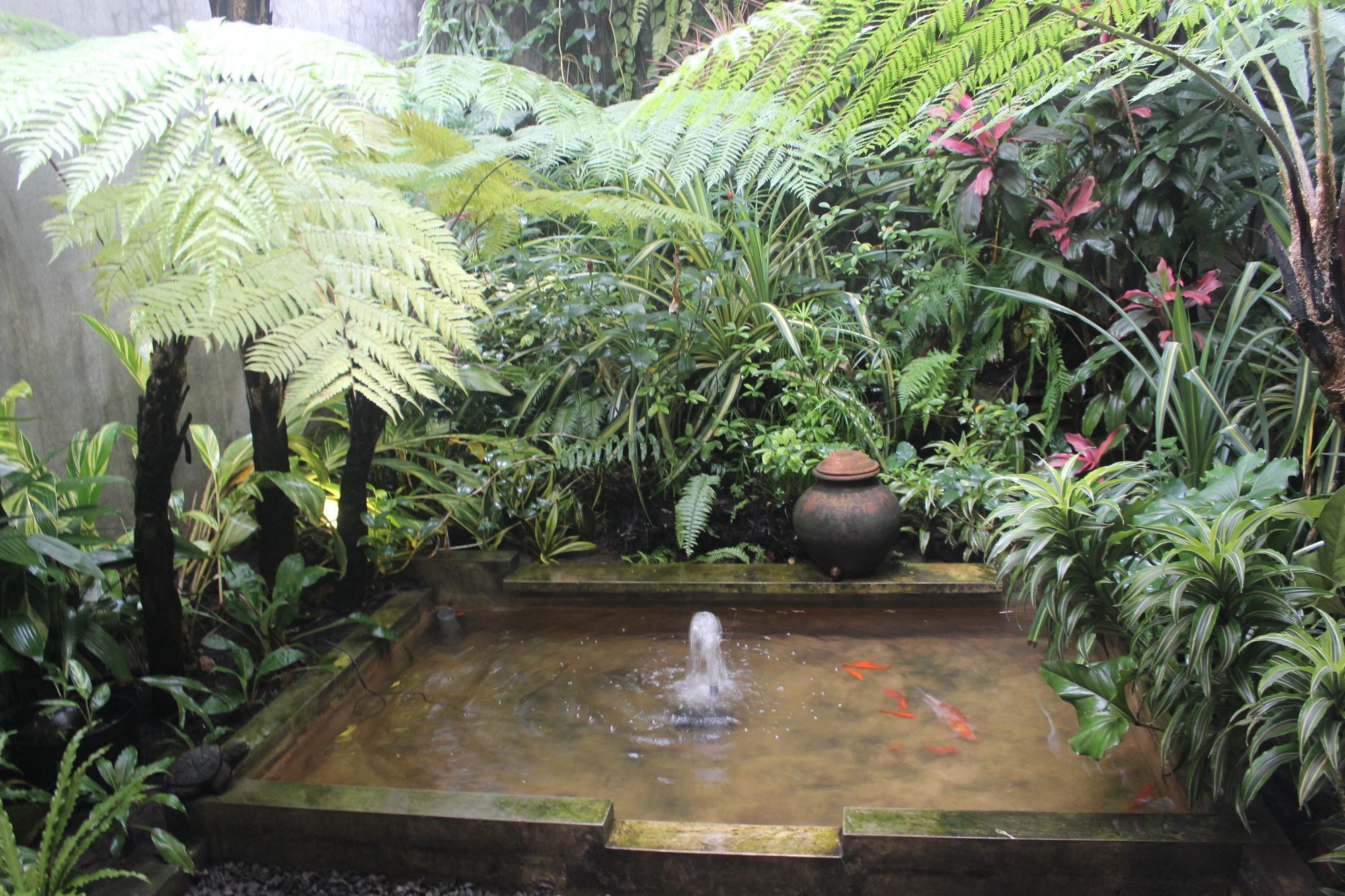 Buton Backpaker Lodge - Hostel Bandung Exterior photo